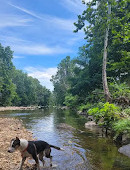 Shirlington Dog Park