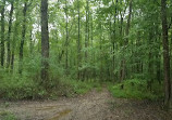 Pohick Creek Stream Valley Park