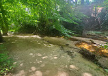 Pohick Creek Stream Valley Park