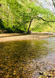 Pohick Creek Stream Valley Park