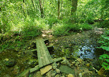 Pohick Creek Stream Valley Park