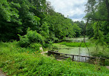 Pohick Creek Stream Valley Park