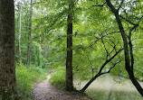 Pohick Creek Stream Valley Park