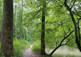 Pohick Creek Stream Valley Park