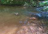 Pohick Creek Stream Valley Park