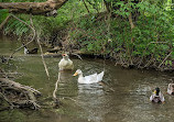 Pangborn Park