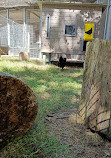 Educational Farm Du Parc Kellermann