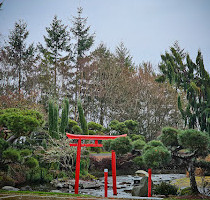 Point Defiance Park