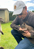 Fall City Wallaby Ranch