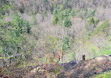 Red River Gorge Geological Area