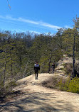 Red River Gorge Geological Area