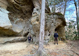 Red River Gorge Geological Area