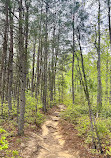 Red River Gorge Geological Area