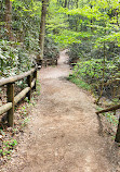 Natural Bridge State Resort Park