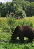 Wildlife park Tiergarten Braunfels