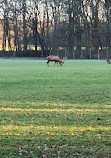 Erholungsgebiet Leidenhausen