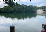 Iwahig Firefly Watching Mangrove and Wildlife Park