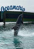 Oceanarium Rosario Islands