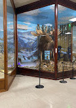 Museum of Paleontology and Geology