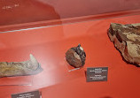 Museum of Geological Formations of Meteora