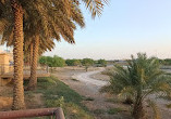 Wadi Hanifah