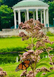 Japanese Garden at Roger Williams Park