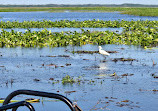 Boggy Creek Airboat Adventures