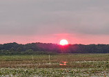 Boggy Creek Airboat Adventures