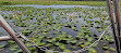 Boggy Creek Airboat Adventures