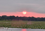 Boggy Creek Airboat Adventures