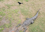 Boggy Creek Airboat Adventures