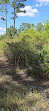 Split Oak Forest Wildlife and Environmental Area