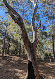 Split Oak Forest Wildlife and Environmental Area