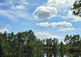 Split Oak Forest Wildlife and Environmental Area