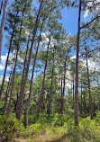 Split Oak Forest Wildlife and Environmental Area