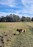 Split Oak Forest Wildlife and Environmental Area