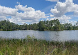 Split Oak Forest Wildlife and Environmental Area