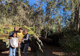 Split Oak Forest Wildlife and Environmental Area