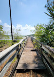 Split Oak Forest Wildlife and Environmental Area