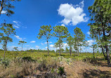 Split Oak Forest Wildlife and Environmental Area