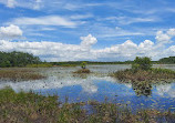 Split Oak Forest Wildlife and Environmental Area