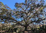 Split Oak Forest Wildlife and Environmental Area