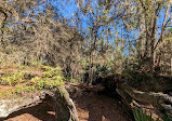 Split Oak Forest Wildlife and Environmental Area