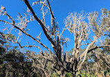 Split Oak Forest Wildlife and Environmental Area