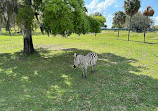 Serengeti Safari