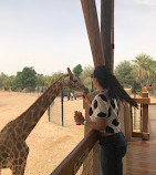 Zoológico de Al Ain