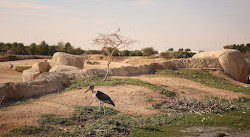 Zoo d'Al-Aïn