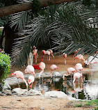 Зоопарк и аквариум Аль-Айна