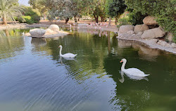 Zoo d'Al-Aïn