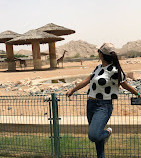 Zoológico de Al Ain